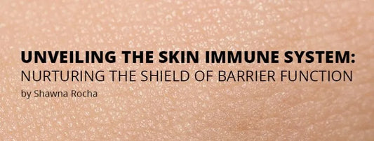 UNVEILING THE SKIN IMMUNE SYSTEM: NURTURING THE SHIELD OF BARRIER FUNCTION - Amethyst Skin Clinic